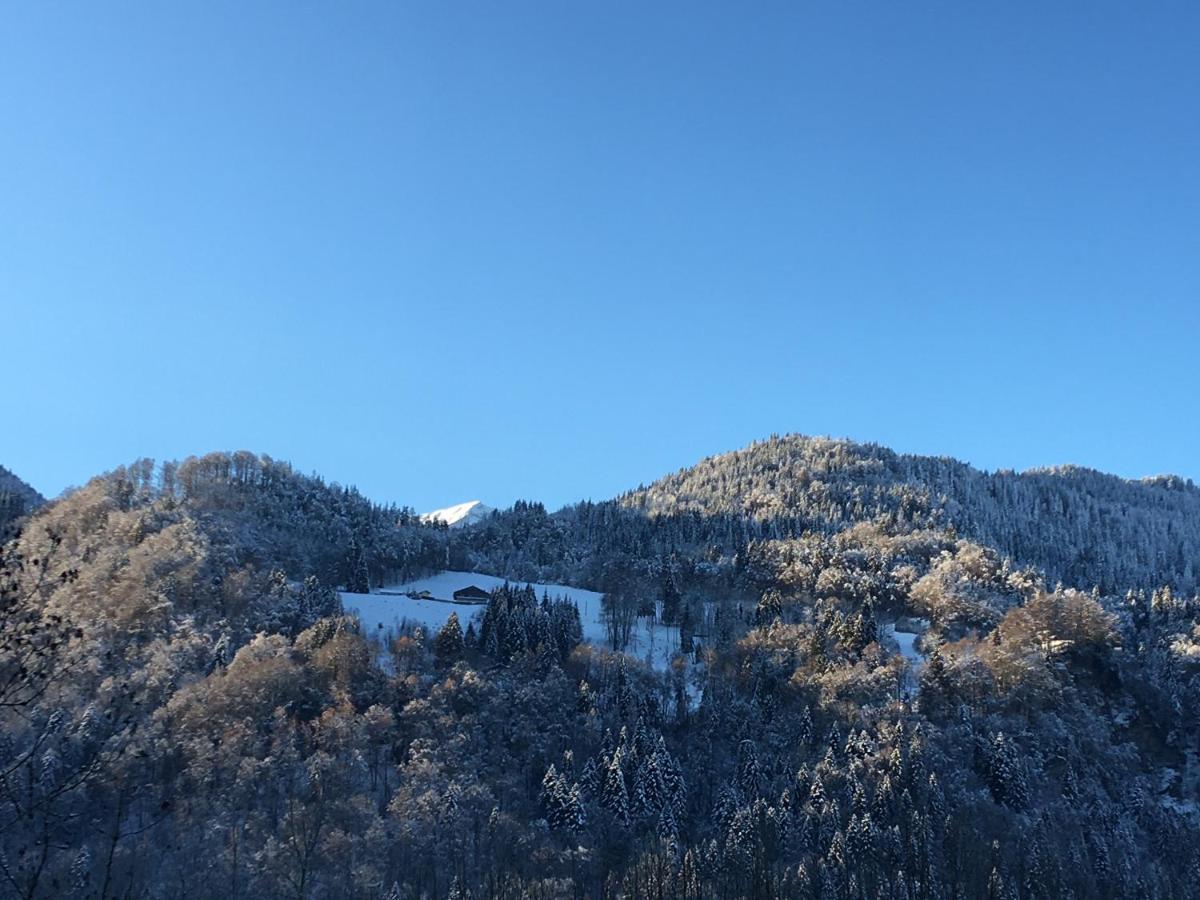 Appartamento Nant D Ant Samoëns Esterno foto