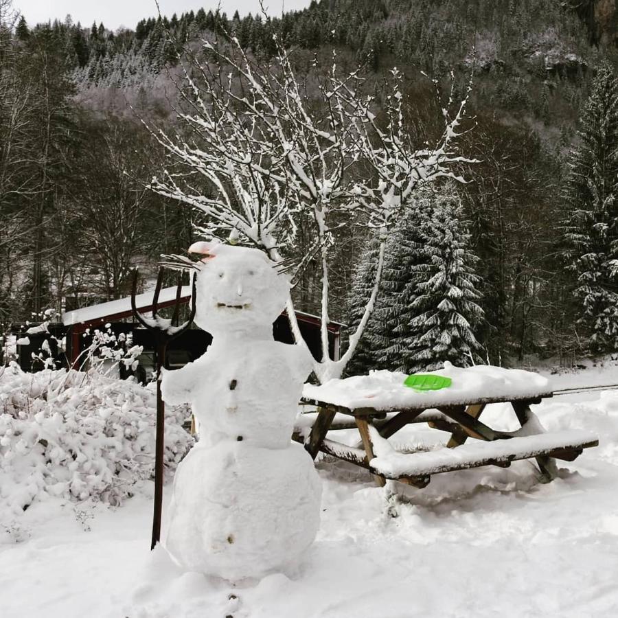 Appartamento Nant D Ant Samoëns Esterno foto